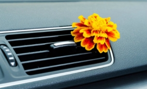 AC VENT AIR FRESHENER 